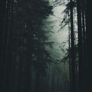 Meet your Posher, Addison